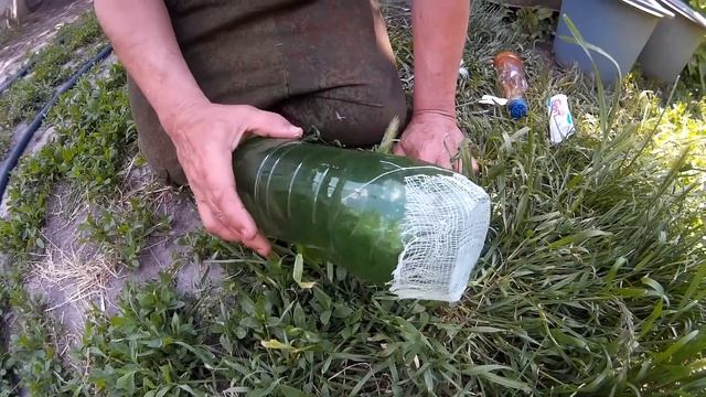 Борьба с Медведкой.Ловушка для Медведки. смотреть онлайн