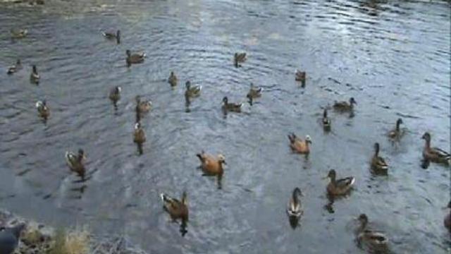 Город часть третья