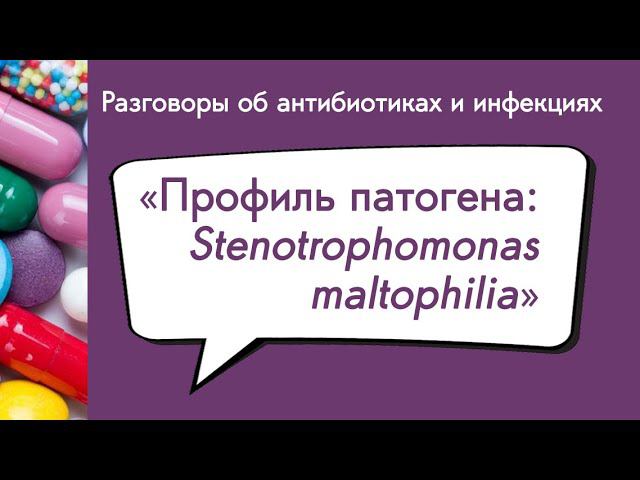 Вебинар «Профиль патогена: Stenotrophomonas Maltophilia»