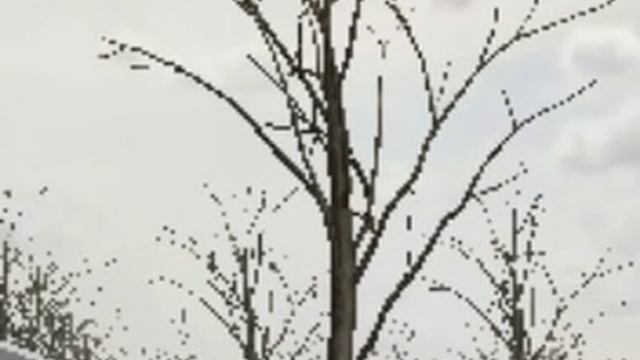 АВАРИИ НА ВИДЕОРЕГИСТРАТОР #1 ROBLOX