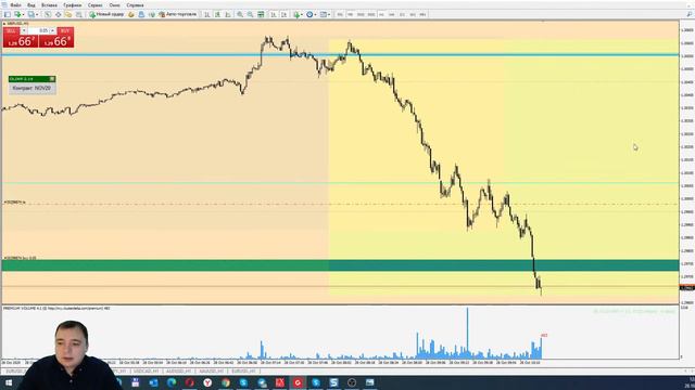 Живая торговля с Виктором Брилевым смотреть онлайн