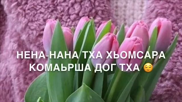 Для Нен-нан? Дала декъал йойла хьо,баб смотреть онлайн