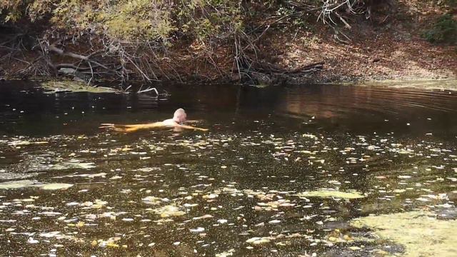 Закаливание речка Сула 04.10.2020 | Sula river Ukraine cold water swimming смотреть онлайн