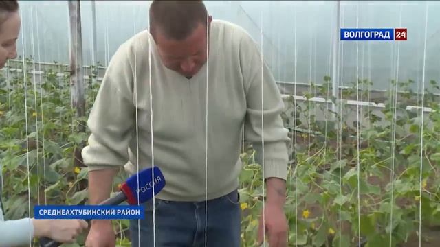 Высадка рассады смотреть онлайн