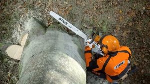 Бензопила Stihl MS 661 - расширенная версия