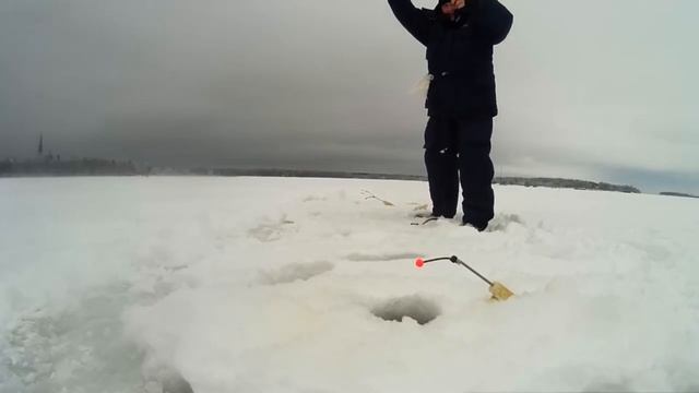 Зимняя рыбалка,ловля корюшки зимой,русская рыбалка,зимняя удочка на корюшка. смотреть онлайн