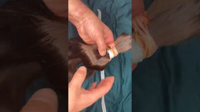 Артикул 204 Темно русый срез волос 60 см 175 грамм смотреть онлайн