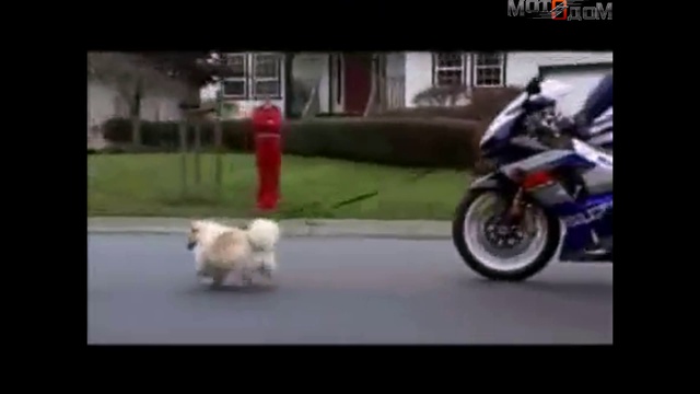 Реклама мотоцикла