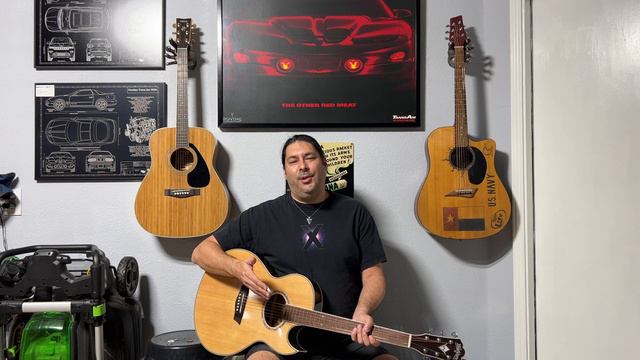 EA20SNB-0 - Check Out My HyVibe Nuno Bettencourt Washburn Acoustic Guitar (Plus I Shaved)! - Eclips