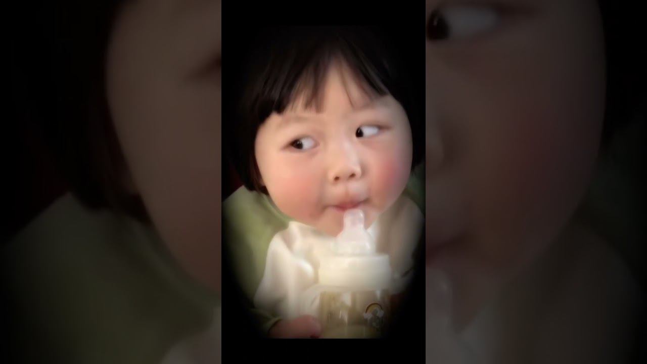 respect 0708240847 #asmr #baby #pets #youtubeshorts смотреть онлайн
