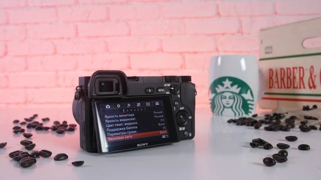 Sony Alpha A6300 - Почти A6500, только без стаба, тачскрина и дешевле