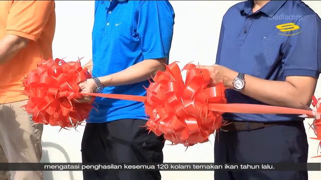 27 Feb 2019 Barramundi Asia scales up, unveils S$2m expansion to nursery смотреть онлайн