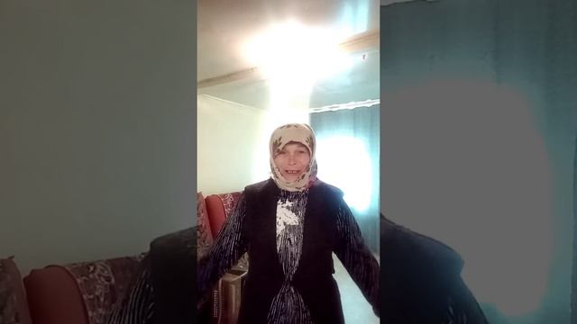 Стихотворение смешное (часть 1) "К бабушке в деревню отвезли на лето" Автор : Юрий Непольский смотреть онлайн