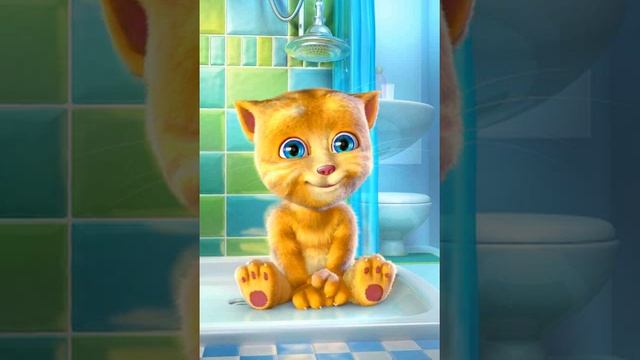 Talking Ginger Pompón