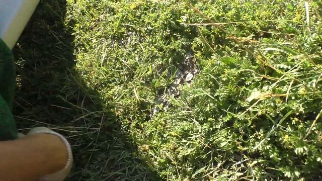 Замена задних стоик на Lifan Solano смотреть онлайн