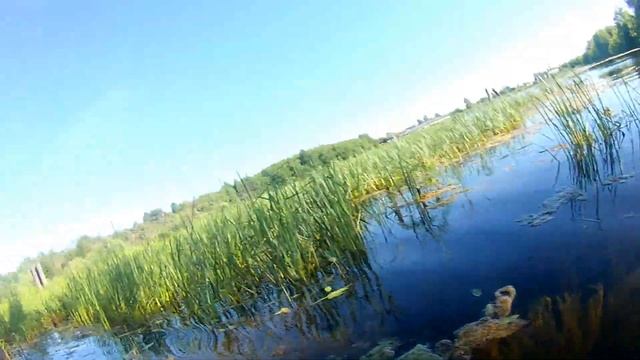 ПРОПЛЫЛИ ОДИН КИЛОМЕТР ПО ВОДЕ смотреть онлайн