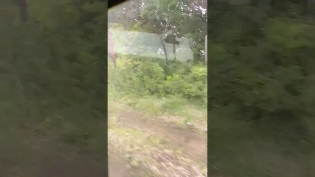 Поездка на рыбалку после дождя на Т25! смотреть онлайн