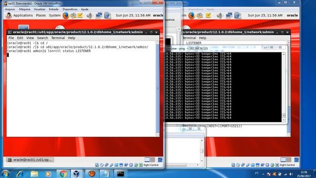 Demonstração do cluster Oracle RAC 12cR1 смотреть онлайн