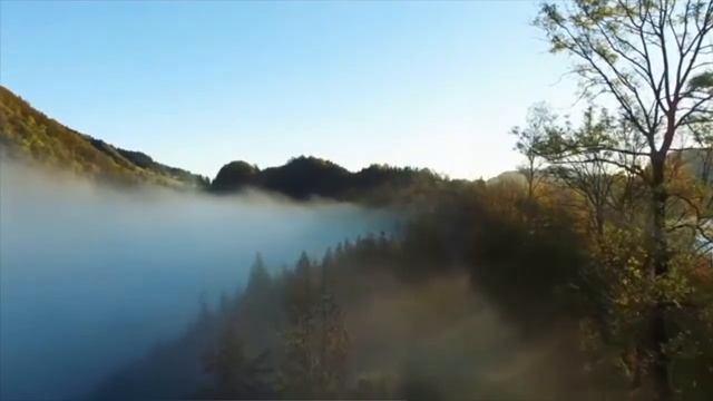 OM ASATOMA SAD GAMAYA смотреть онлайн