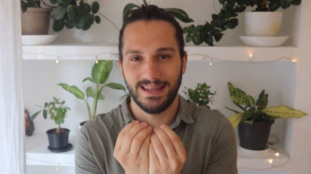 Mi viaje a COLOMBIA😍Monsteras, Alocasias, Heliconias....🤯 Plantas de COLOMBIA ..Locura!!🤯 смотреть онлайн