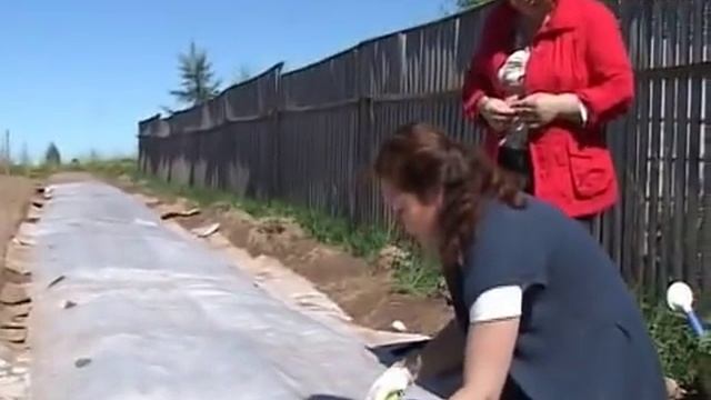 Дачные советы 24.05.2013