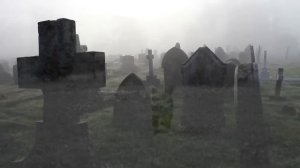 К чему привело истребление кошек в Средние века