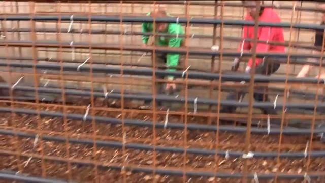 Обогрев помещения при помощи компоста - JEAN PAIN. Biomeiler Dätgen September 2011 смотреть онлайн