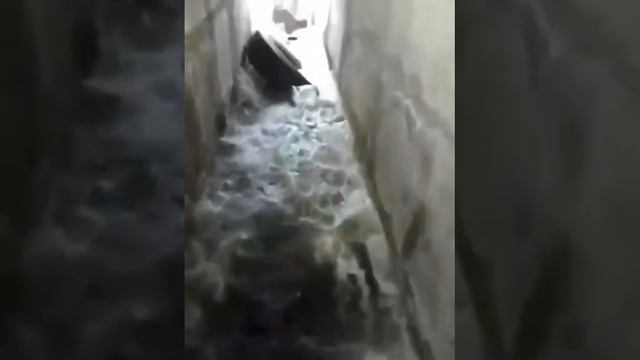 Трасса Иркутск - Красноярск, загадили эстакаду Аркадий Чубенко смотреть онлайн