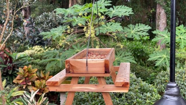 Раскрывайте зонты и наденьте наушники! Будет не оторваться!!! смотреть онлайн