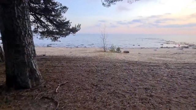 Продажа участков на первой береговой линии Финского залива смотреть онлайн