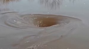 ГЕРБ И БОЖЕСТВЕННАЯ МАТЕМАТИКА
