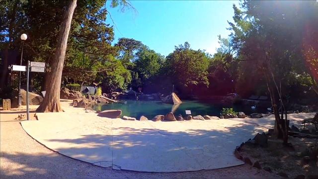 АЛУПКА 2021 Озеро с лебедями. Алупкинский парк' Крым сегодня