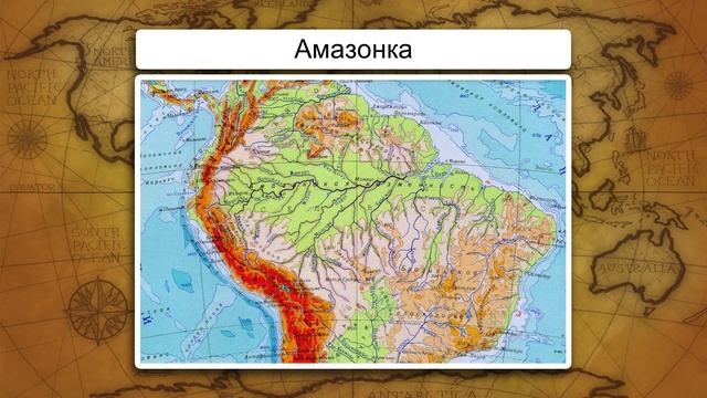Реки. Видеоурок по географии 6 класс смотреть онлайн