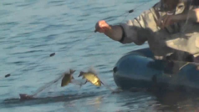 Рыбалка на Втором мостике сетью. 12. 08. 2019 смотреть онлайн