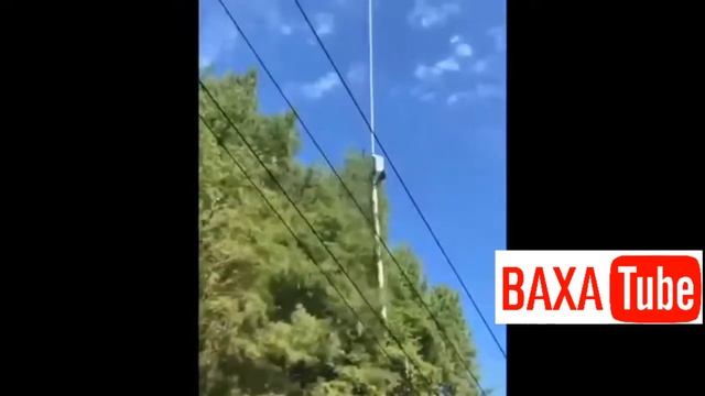 Как рубят деревья вертолётом смотреть онлайн