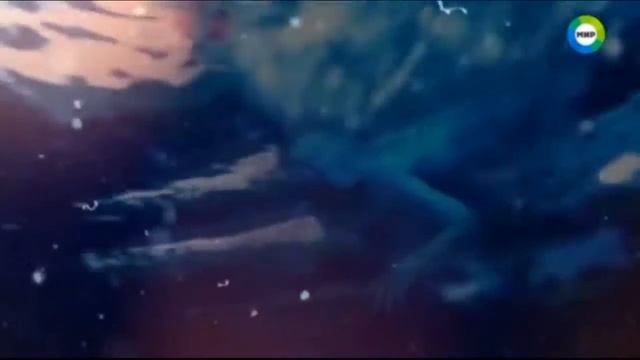 Подводная цивилизация потопила подводную лодку! Подводные пришельцы против людей | НЛО про смотреть онлайн