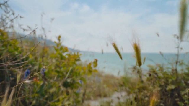 ☀️Студия изобразительного искусства в ЖК Anapolis Residence☀️ смотреть онлайн