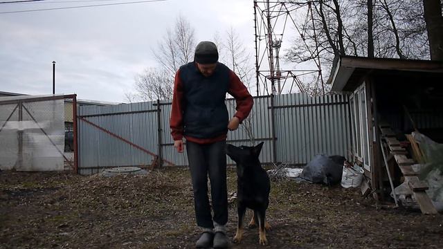 транспорт 1 смотреть онлайн