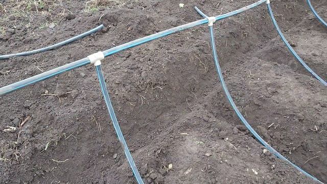 Пiдземний крапельний полив газону