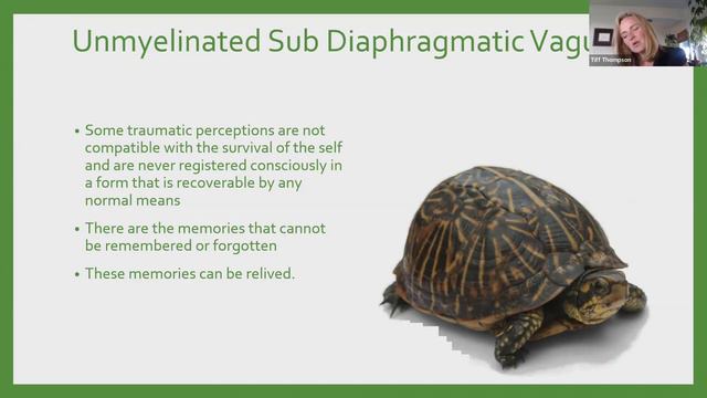 PTSD & Development Trauma Lecture With Dr. Tiff Thompson