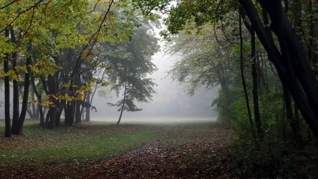 После гибели дочери, Елена усыновляет её сыновей, а слепой девочке грозит детдом. Но зайдя в палату