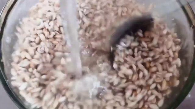 Кулинарное дело 