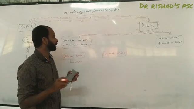 Nervous system- BIOLOGY- neurology നാഡീവ്യവസ്ഥ смотреть онлайн