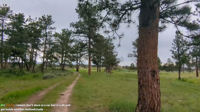 2023-07-04 - Camping / Hiking Code Q&A - React vs Vue vs Angular vs Svelte | OAuth Tokens and more! смотреть онлайн