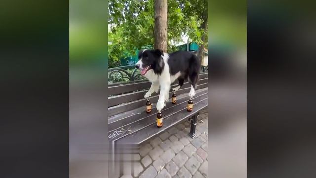 Я того рот...) смотреть онлайн