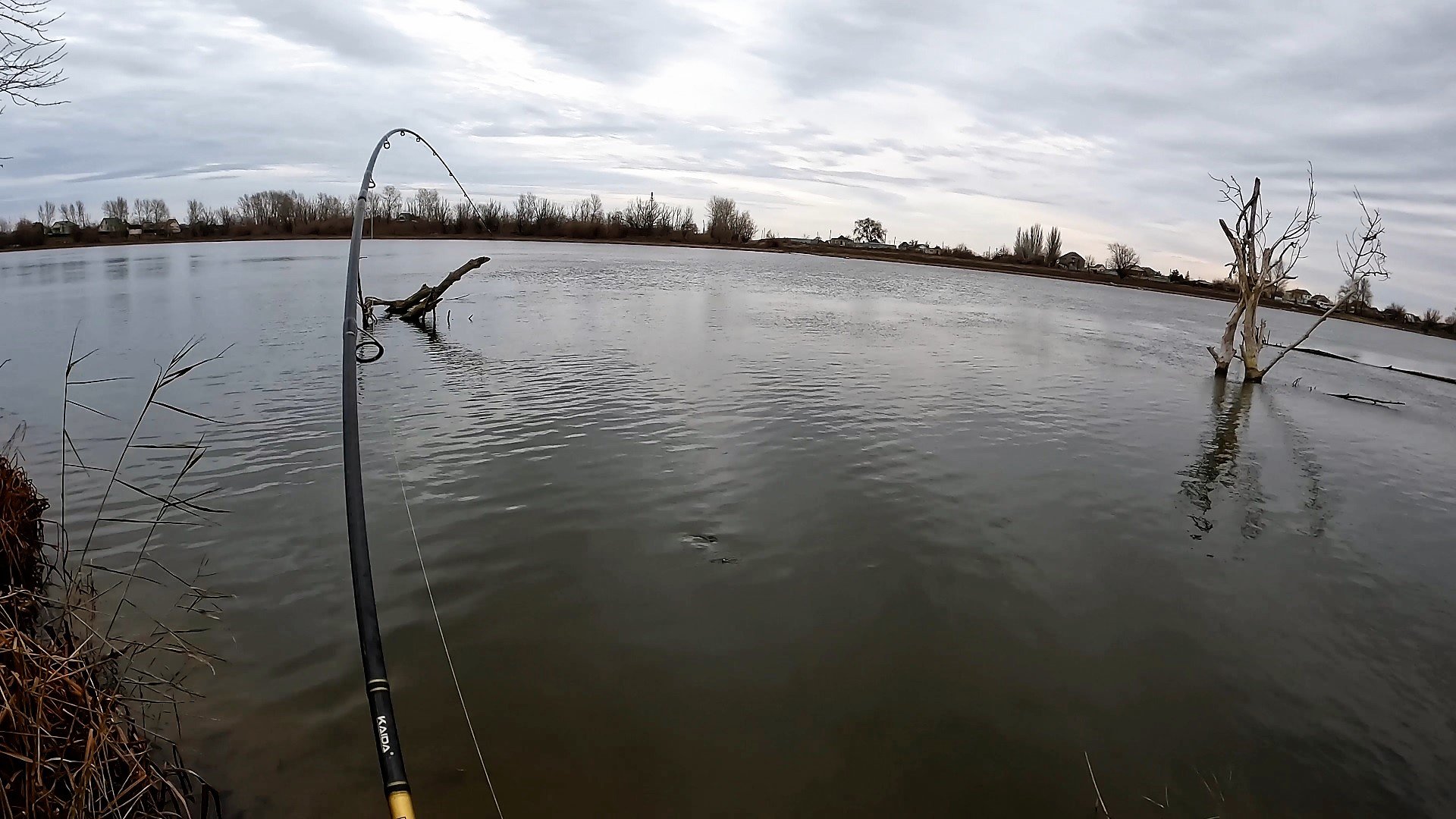 РЫБОЛОВНАЯ ПРОГУЛКА УДАЛАСЬ. ЖЕРЕХ, ЛЕЩ. НОЧНАЯ ЛОВЛЯ БЕРША. Зимняя рыбалка в Астрахани. смотреть онлайн