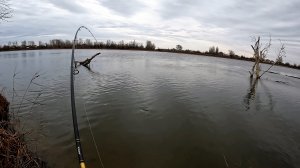 РЫБОЛОВНАЯ ПРОГУЛКА УДАЛАСЬ. ЖЕРЕХ, ЛЕЩ. НОЧНАЯ ЛОВЛЯ БЕРША. Зимняя рыбалка в Астрахани.