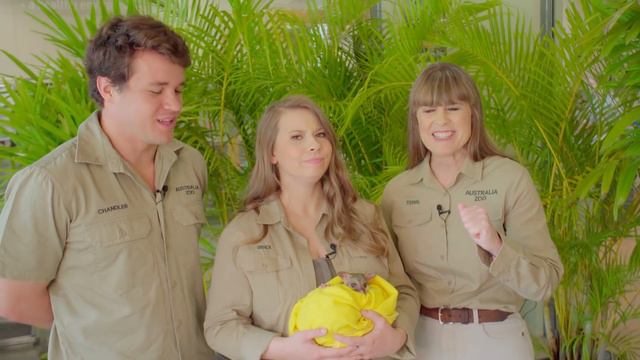 Bindi, Chandler, Terri and a very cute possum | Irwin Family Adventures смотреть онлайн