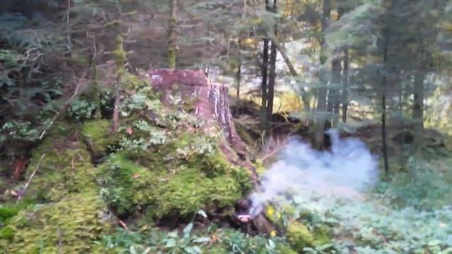 Roter Korsar || Fireevent смотреть онлайн