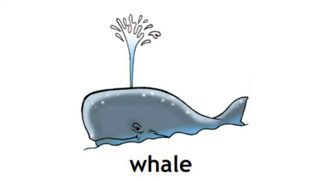 How to Pronounce Whale in British English смотреть онлайн